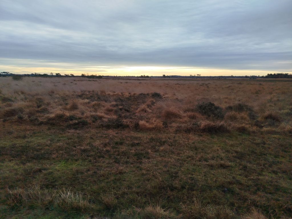 Exploring the Dry Fens: A December Hiking Adventure